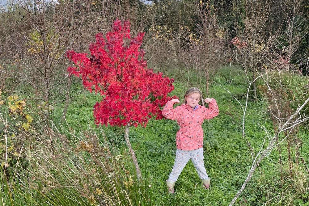 Midlands 103:  Tuesday, 23 January 2024 - Meath Man Donates 9,000 Trees In Fight Against Ash Dieback